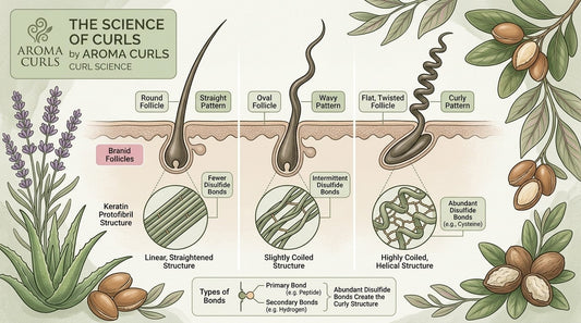 The Science of a Curl - Why Your Hair Shapes Into Spirals