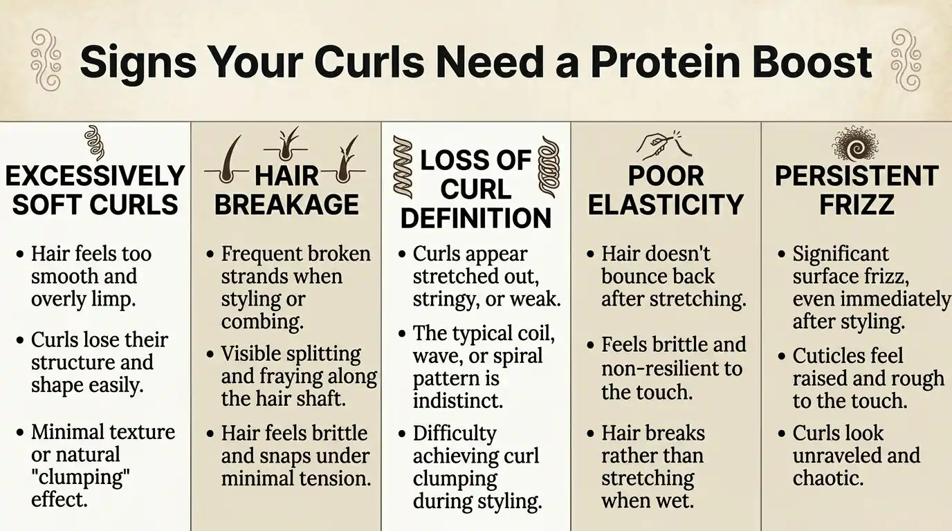 Signs Your Curls May Need a Protein Boost